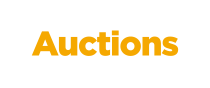 Single Seller Auctions